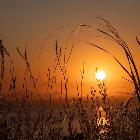 Terra By K&k Oia (Santorini)